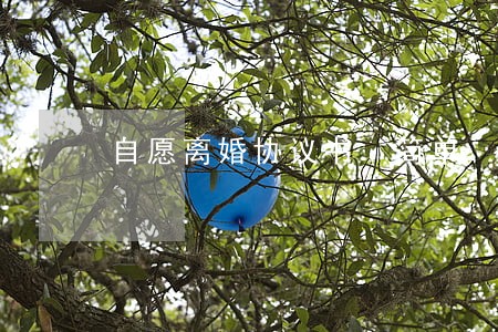 自愿离婚协议书 简单
